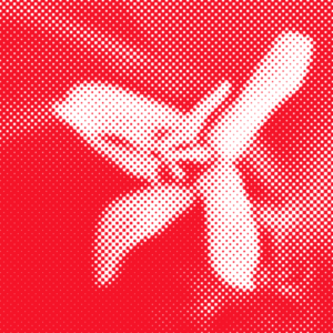 Diego Agudelo Geisha